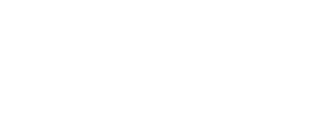 Sonnet Insurance